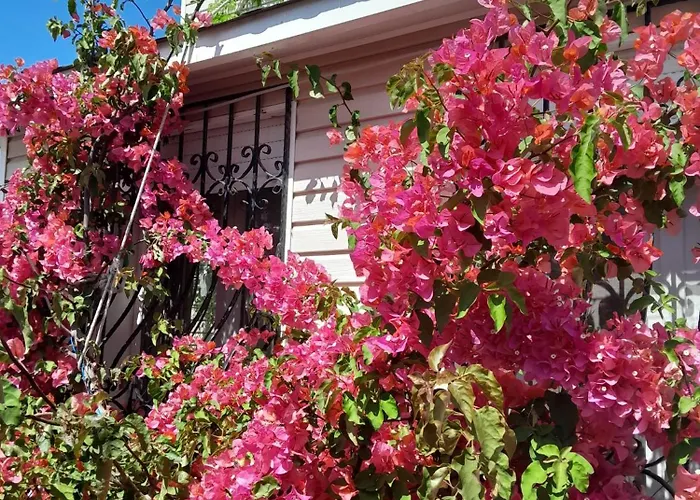 Villa İnci Çeşme